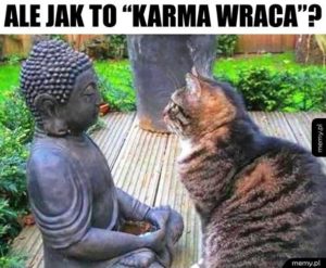 karma wraca