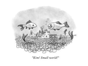 small world