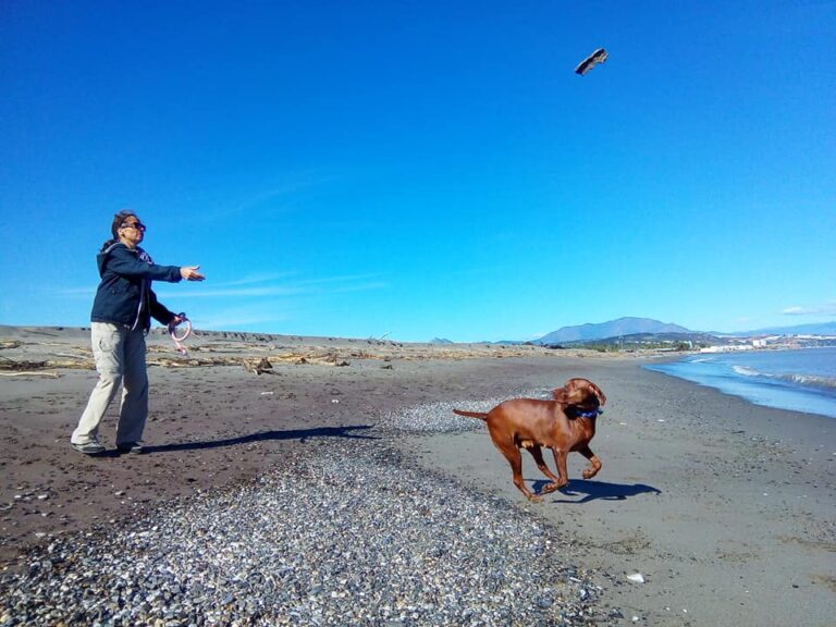 Workaway – jak podróżować prawie za darmo (moje doświadczenia i poradnik)