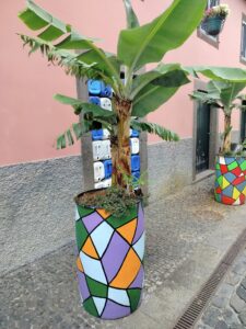 Camarade Lobos, Madeira, kreatywny recycling