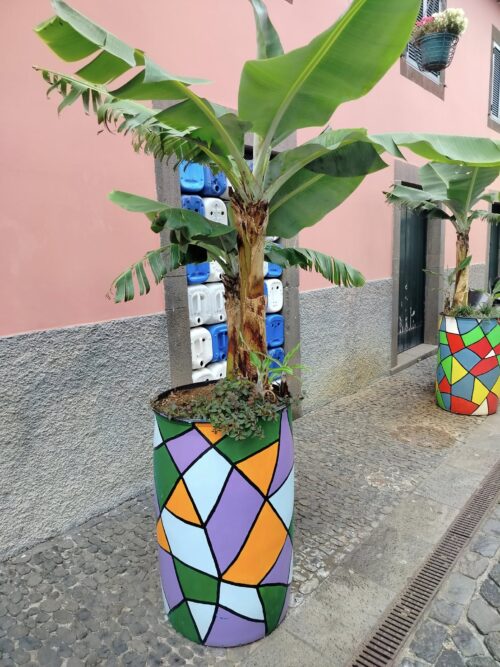 Camarade Lobos, Madeira, kreatywny recycling