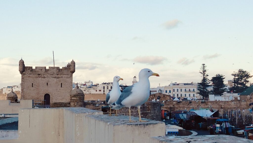 Essaouira