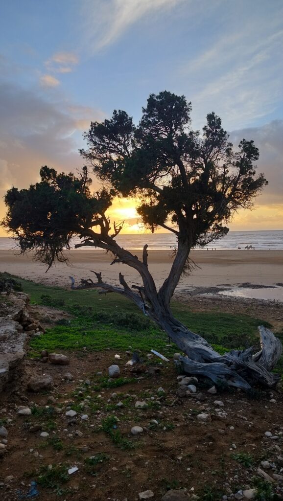 Sidi Kaouki w MAroku