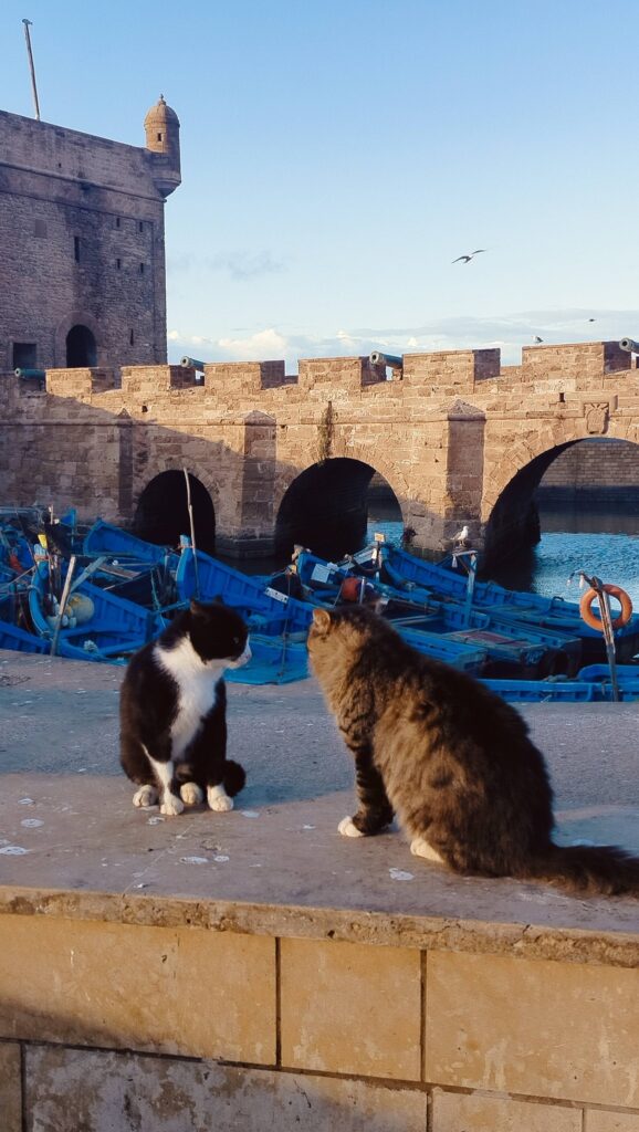 Essaouira